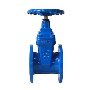 China Flange Type Soft Seated Water Gate Valves Rubber Wedge Gate Valve factory