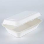 Bio Hotel restaurant takeaway disposables fast food paper box