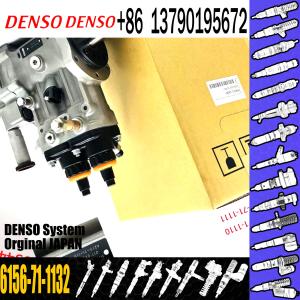 China Fuel injection pump Assy 6D125 094000-0463 6156-71-1132 factory