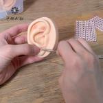 Auricular Therapy Herbal Supplement Ear Vaccaria Seeds For External Use