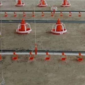 China Open House Shed 2.2cm Chicken Nipple Drinker System factory