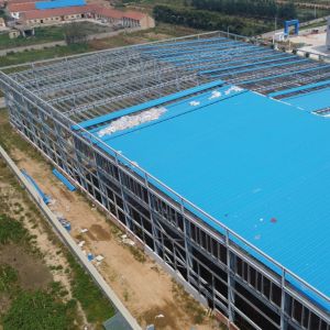 Q355B Steel Structure Warehouse Prefabricated Building Multi Span