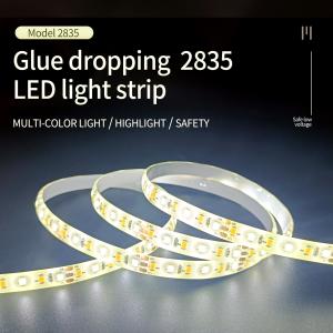 China 12V/24V Dimmable SMD 2835 LED Strip Light Soft Neon Lamp Waterproof IP65 factory