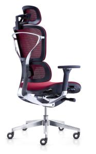 China Breathable 0.317m3 W650mm Office Mesh Chairs Dual Backrests factory