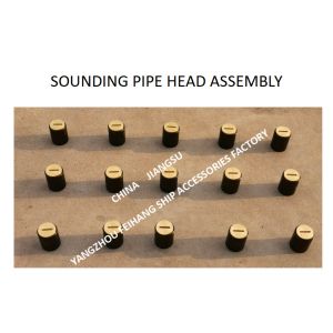 Sounding Head, Temperature Probe, Sounding Pipe Head Fh-A50 CB / T3778-1999 BODY