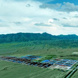 Modern Light Steel Frame Cattle Shed with Galvanized Steel Structure