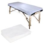 PP Nonwoven 50cmx60m 30gsm Disposable Bed Sheets Roll