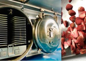 China Commercial Food Vegetable Freeze Dryer Air Cooling factory
