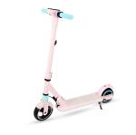 Folding Kids Skate Kick Scooter With 6.5 Inch Wheels Full Aluminum 130W Motor