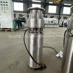 Stainless Steel Submersible Fountain Pump - Powerful and Silent Fountain Pump