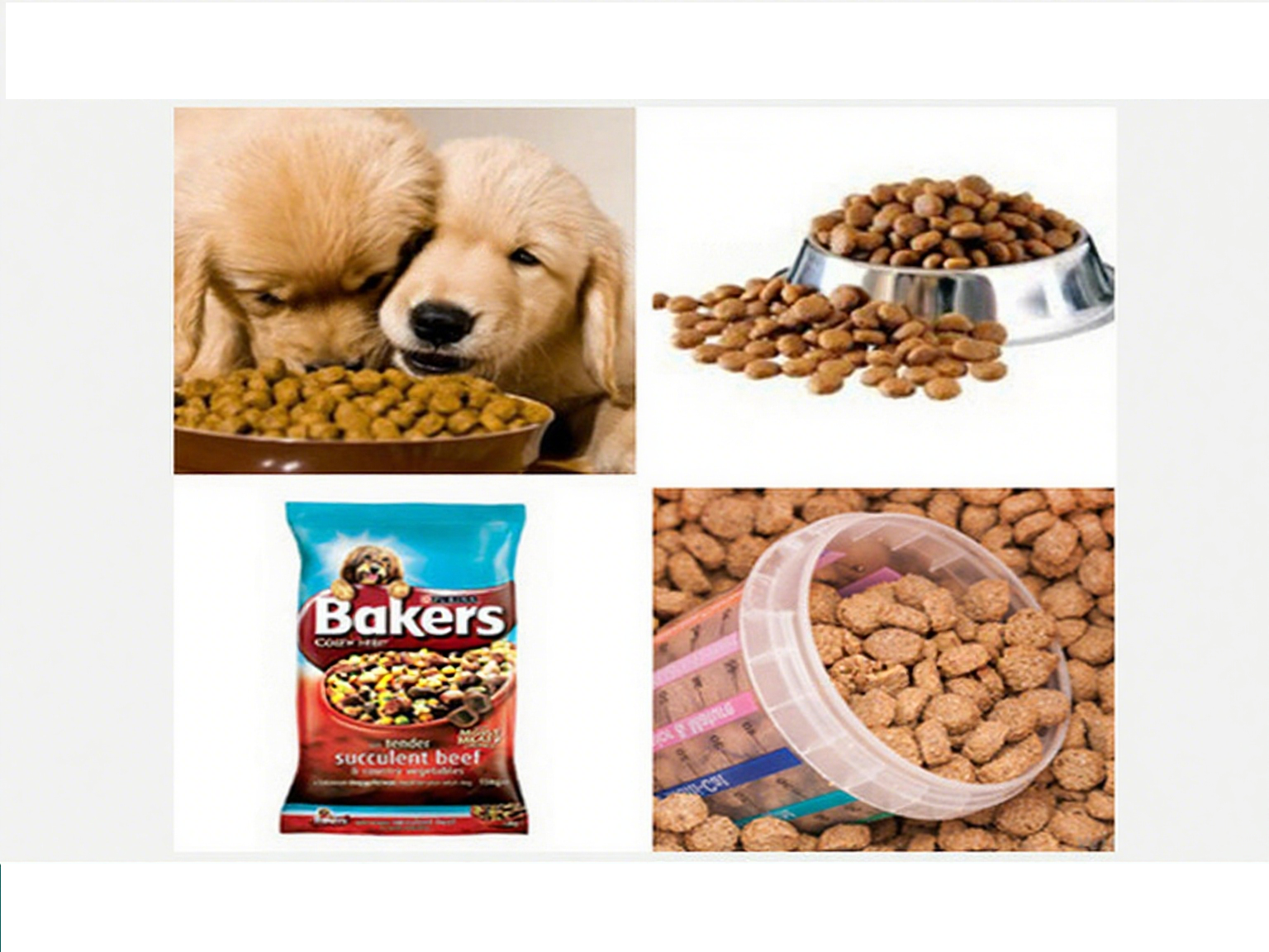 2 - 5 Ton Dog Food Processing Equipment