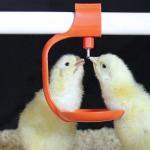 25mm Chicken Water Nipple PVC Broiler Drinking Nipple POM Plastic