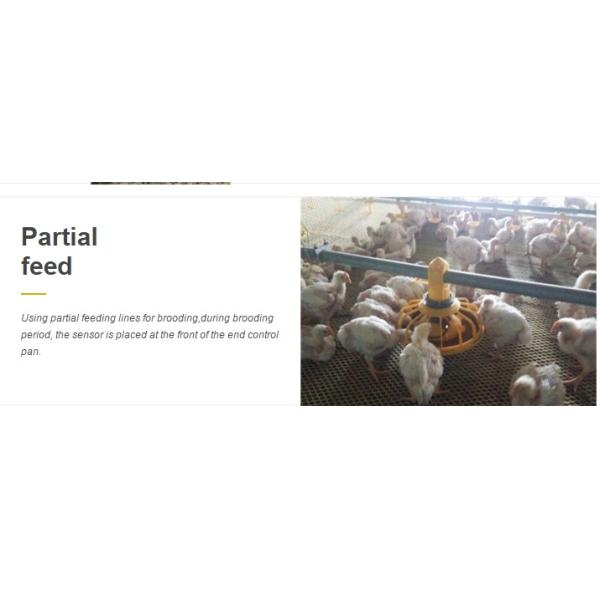 330mm Broiler Pan Feeder Poultry Automatic Pan Feeding System