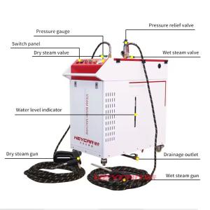 China Designed High Pressure Disinfection Portable Sprayers Steam Cleaner for Car and Home Disinfection factory