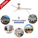 3 Colors Change Light Indoor Ceiling Fan Noiseless DC Motor 5 Speeds