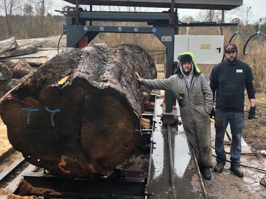 Electrical Big Log Sawmill 2 Meter Big Timber Saw Mill Wood Cutting Machine