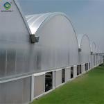 Easy To Assemble Multi Span Greenhouse For Growing Vegetables And Flowers