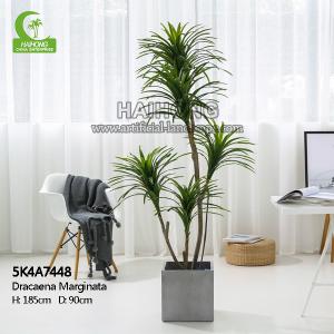 China Aesthetic 185cm Artificial Potted Floor Plants For Indoor Decoration factory