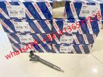 Steel Made 0445110189 6110701687 A611070168706 Diesel Engine Common Rail