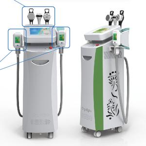 China Coolsculpting Freezing Fat Cryolipolysis Machine Leg , Arms, Belly Fat Removing factory