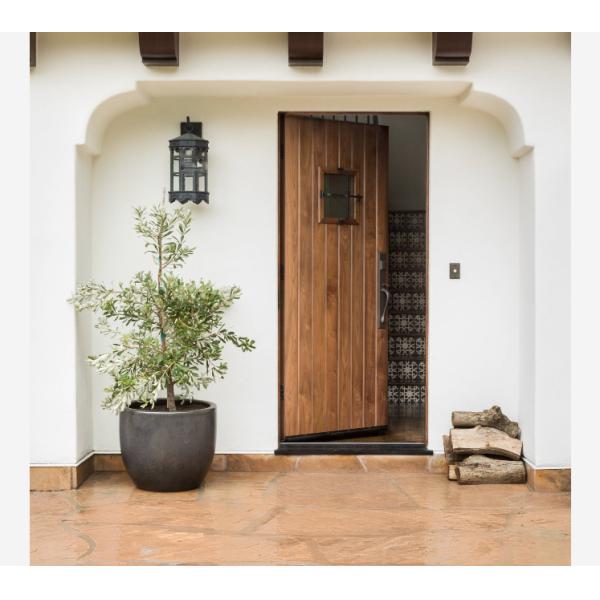 Solid Wood Doors customized plastic composite pvc MDF white black door