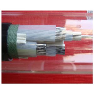 Cost Effective XLPE Insulated Power Cable for Budget Projects