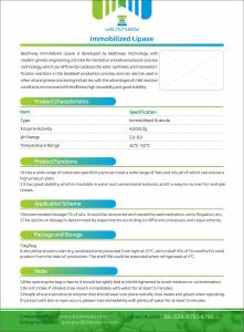 China Immobilized Lipase, Industrial Enzyme, Bioenergy Enzyme factory