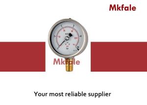 China Brass Connection Liquid Filled Pressure Gauge With Bayonet Case factory