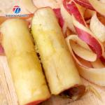 Coring Knives Kiwi Fruit And Vegetable Peeler Machine SS Apple Core Removal