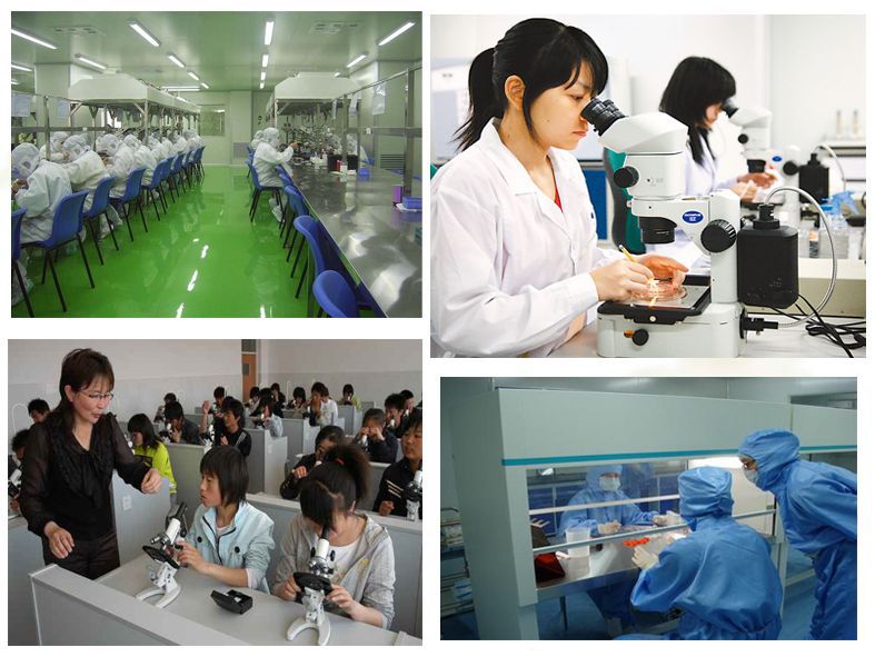 C- Frame Structure Chemical Lab Furniture Workstation For Experiment / Research
