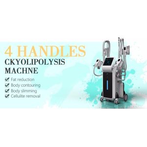 China Cryolipolysis cool shaping body sculpting machine Cryolipolysis side effects on sale