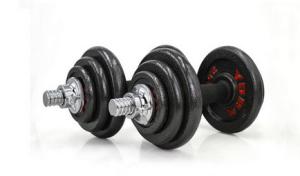 China cast iron adjustbale chromed dumbbell barbell 50kg with palstic case factory