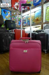 China cheap soft sided 16'' laptop trolley luggage ,suitcases from Baigou China factory