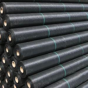 China High Tensile Strength PP Woven Geotextile 200g 300g 400g 500g For Road Construction factory