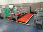 Steel Pig Farrowing Crate