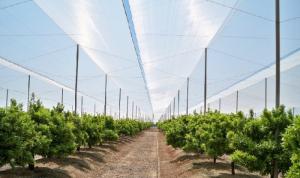 China Greenhouses Anti Insect Screen Mesh Disease Prevention Insect Proof Mesh factory