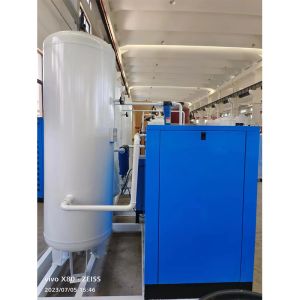 Low Energy Food Grade Modular PSA Nitrogen Generator Your Solution for Nitrogen