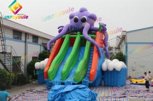China Durable Inflatable Octopus Water Park With Slide / Outdoor Water Play Equipment factory