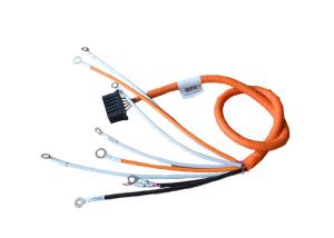 China ISO 22 AWG 12 Pin New Energy Vehicle Wiring Harness factory
