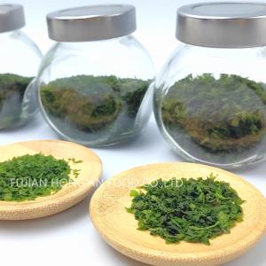 China Long Shelf Life Aonori Seaweed Powder Green Nori Powder For Japanese Cuisine factory