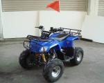 Single Cylinder 110cc Atv Quad Bike SHINERAY 4 Stroke With Rear Rack