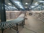 Stainless Steel 201 Powered Roller Conveyor