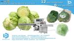 Vegetable packing in tray and sealed in bag for super market sales