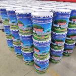 Low VOC White Cement Crystalline Waterproofing Coating for Long Lasting