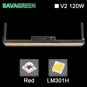 China SAA Hydroponic Horticulture 200w Red IR UV Samsung Lm301h Strips factory