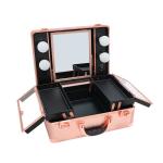 Easy Organizing Cosmetic Beauty Case Impact Resistance For Makeup Artists