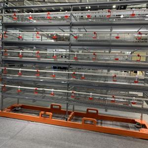China Enriched Wire 5 Cell 128 Birds Layer Chicken Cage factory