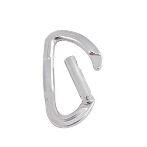 China Heavy Duty 22KN D Shape Climbing Carabiner with Straight Gate and Aluminium Alloy factory