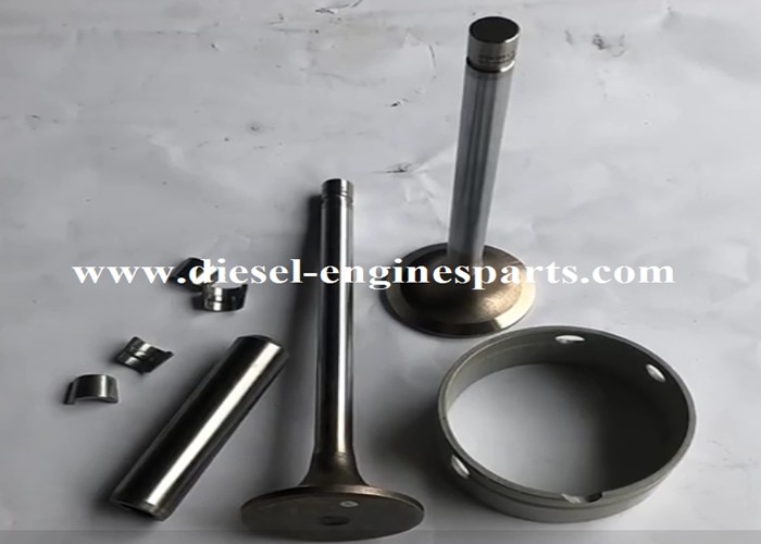 Deutz TCD2012 Intake Exhaust Valves D6e Engine 04285985 04285986