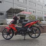 New 125cc Disc Brake Alloy Rims Motorcycle Cub 125cc South America Hot Sale